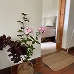 Nature-close Guest With Garden - Private Bath Included Bed & Breakfast Tisvildeleje