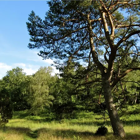 Nature-close Guest With Garden - Private Bath Included Bed & Breakfast Tisvildeleje