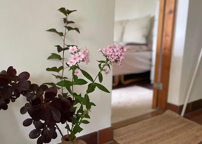 Nature-close Guest With Garden - Private Bath Included ベッド・アンド・ブレックファスト ティスヴィレライ